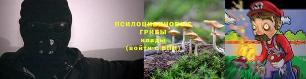 мескалин Алексин