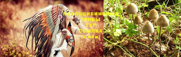 дурь Алзамай