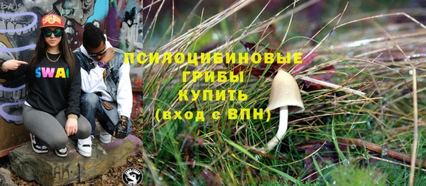 дурь Алзамай