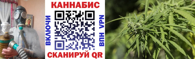hydra как зайти  магазин продажи наркотиков  Мичуринск  Конопля ГИДРОПОН 